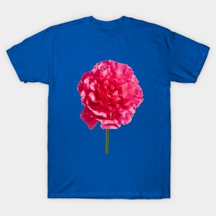 Hot pink carnation blossom T-Shirt